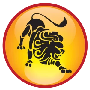 5.png