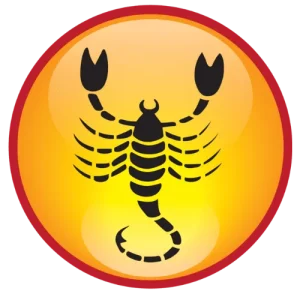 8.png
