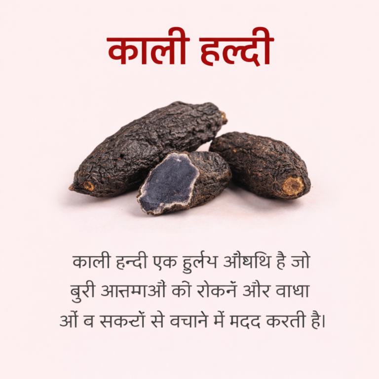 ChatGPT-Image-Apr-17-2026-01_40_30-PM.png